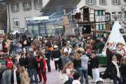 Fasnachtsumzug Breitenbach 2009